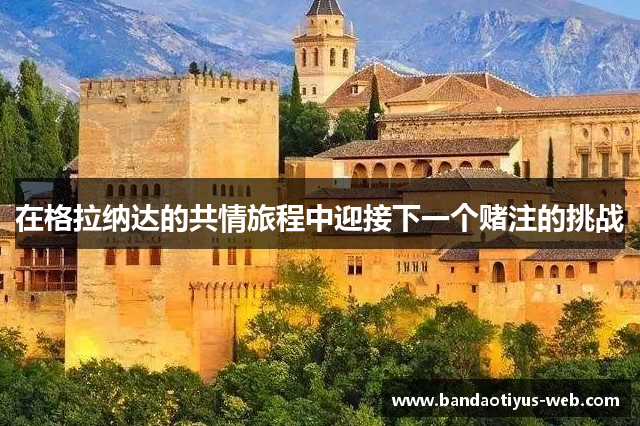 在格拉纳达的共情旅程中迎接下一个赌注的挑战